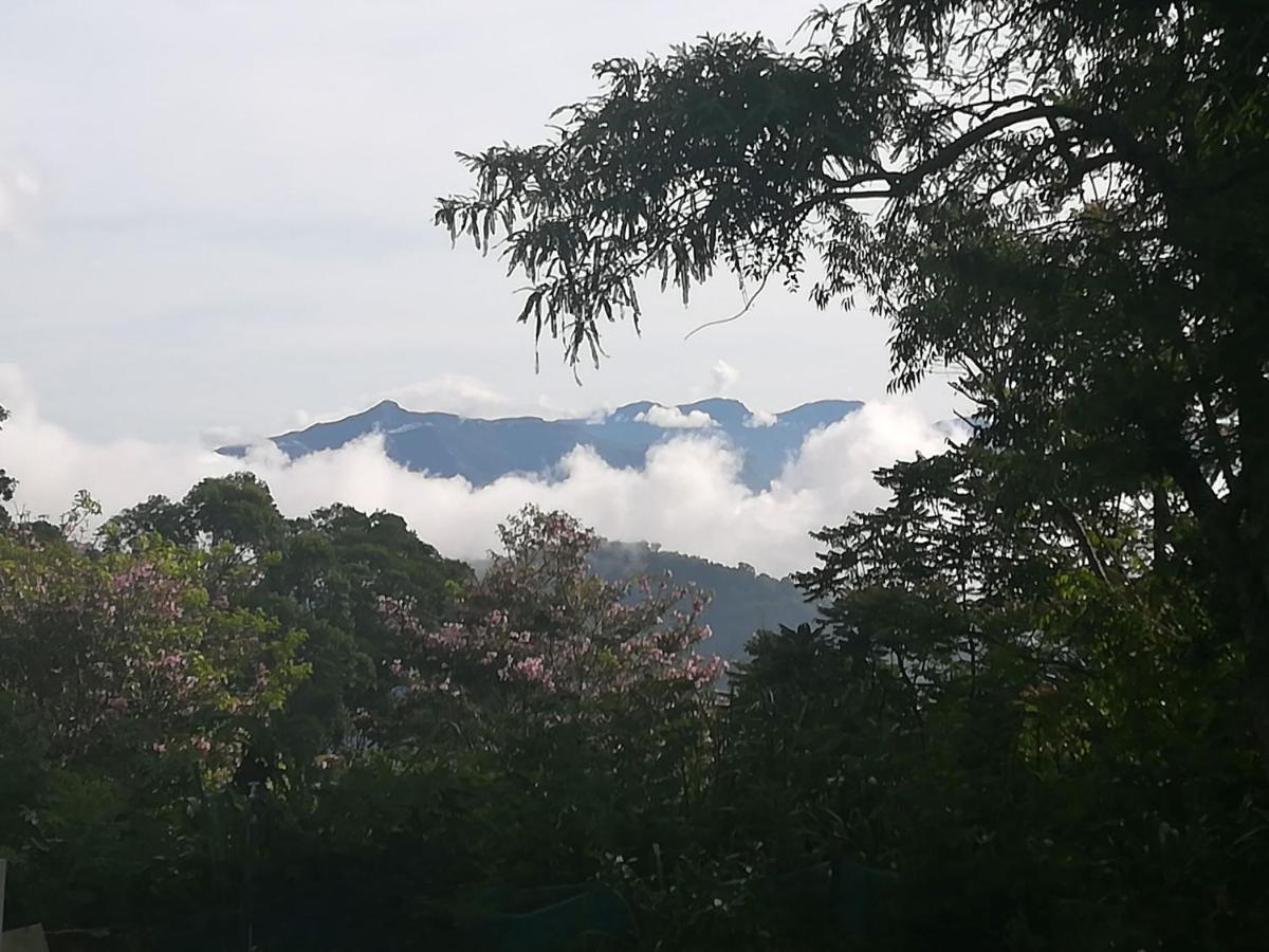 Bed and Breakfast Jungle Tide Kandy Esterno foto