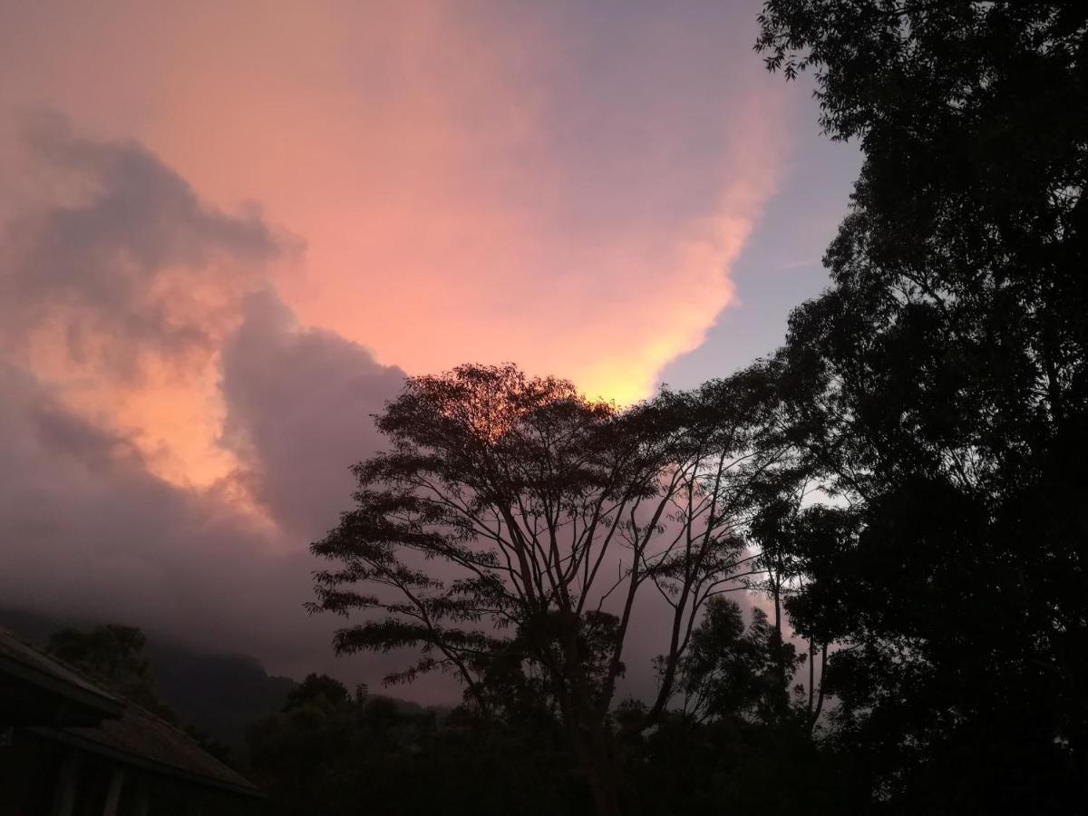 Bed and Breakfast Jungle Tide Kandy Esterno foto