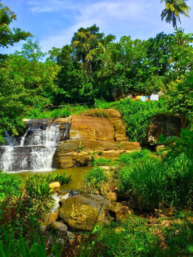 Bed and Breakfast Jungle Tide Kandy Esterno foto