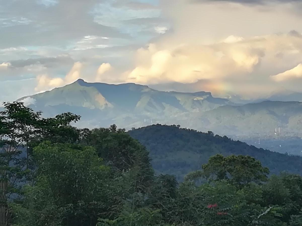 Bed and Breakfast Jungle Tide Kandy Esterno foto