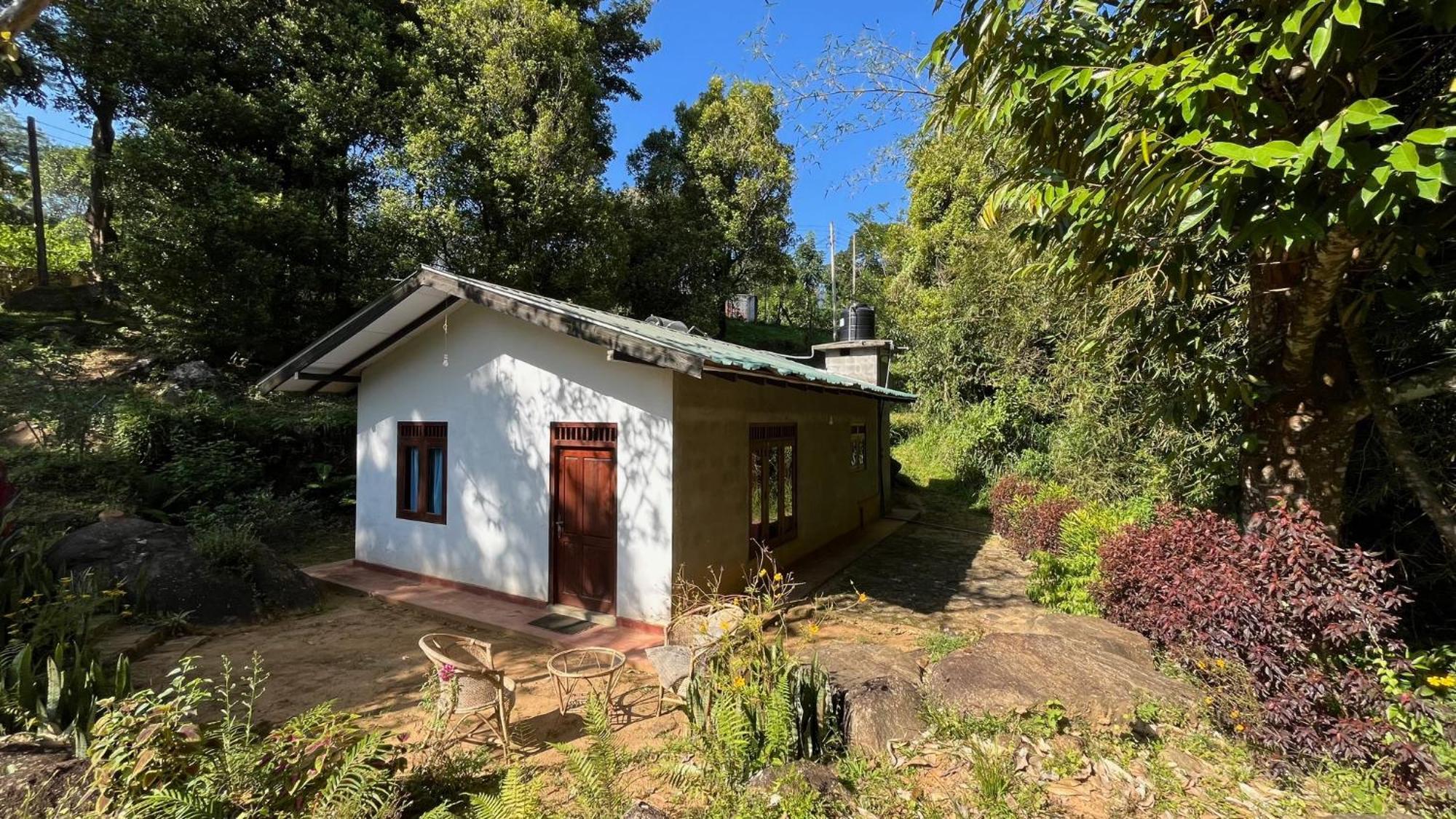 Bed and Breakfast Jungle Tide Kandy Esterno foto