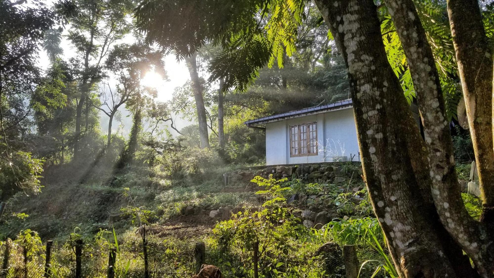 Bed and Breakfast Jungle Tide Kandy Esterno foto