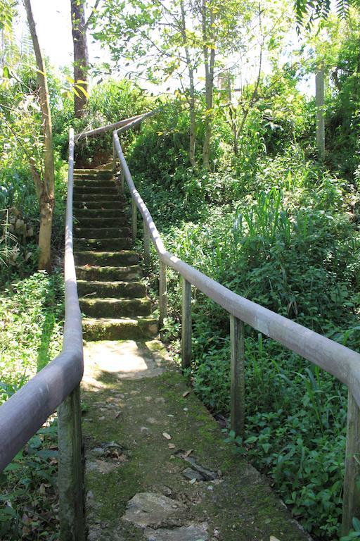 Bed and Breakfast Jungle Tide Kandy Esterno foto
