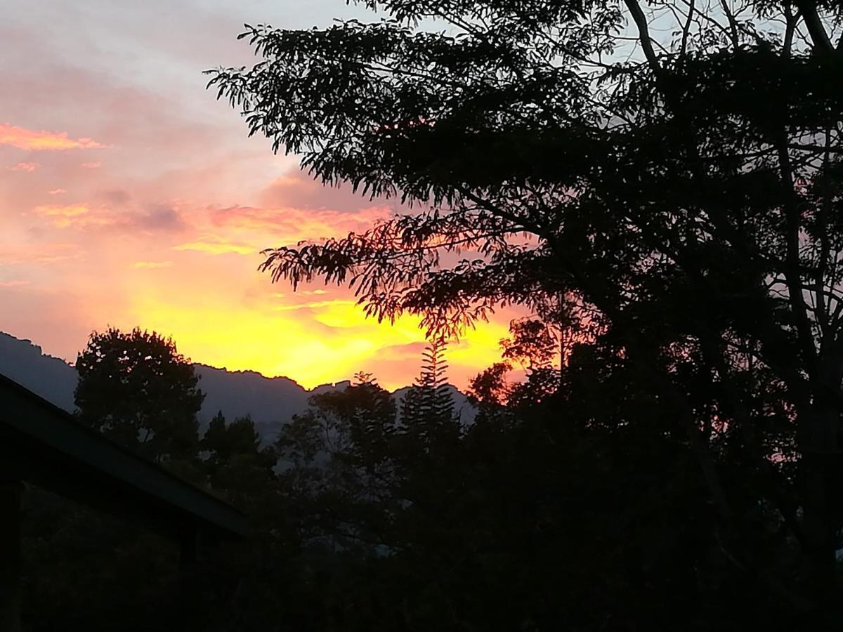 Bed and Breakfast Jungle Tide Kandy Esterno foto